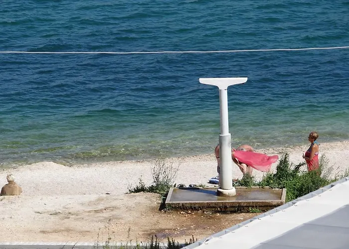 Lola * Trogir